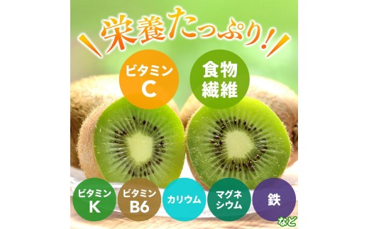 家庭用 キウイ フルーツ2.5kg+250g（傷み補償分） / キウイフルーツ 訳あり 和歌山 ※2026年11月中旬～2027年4月下旬に順次発送 ※北海道・沖縄・離島への配送不可 【ikd505-c-2d5A】