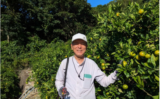 ゆら早生みかん 秀品 Sサイズ 10kg 贈答用※2026年10月上旬～11月中旬頃に順次発送予定 / ゆら早生 柑橘 極早生 フルーツ 果物 くだもの 食品 人気 おすすめ 送料無料 由良町 【ksmt003-r-s-10】