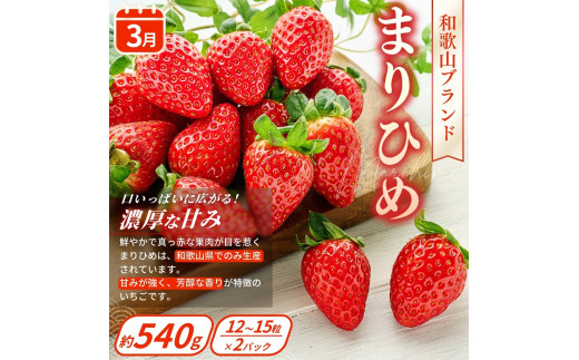 【定期便4回】旬の フルーツ定期便 / はれひめ みかん いちご まりひめ 桃 秀品 柿 種無し フルーツ 定期便 ふるーつ定期便 フルーツ 詰め合わせ 果物定期便 春フルーツ 夏フルーツ 秋フルーツ 冬フルーツ 産地直送 ※離島への配送不可【kgr530-4】
