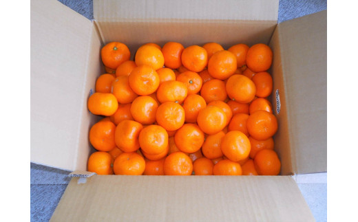 ç¹éž çŽå· æç° ã¿ãã 10kg ãµã€ãºããŸãã(Ðã»ïŒ³) â»2026幎12æäžæ¬ïœäžæ¬é çºéäºå®ïŒãå±ãæ¥æå®äžå¯ïŒ/ æž©å·ã¿ãã æç°ã¿ãã çã é«çŽ åæå±± ææ©ãsml004-p-10ã