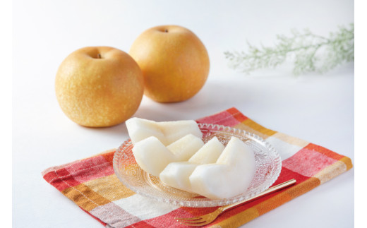 【先行予約受付】和歌山県産の美味しい 梨 約4kg（10～13玉） / なし 果物 フルーツ 和歌山県 ※8月中旬～9月中旬頃順次発送予定 ※離島への配送不可 【mat503-r-4】