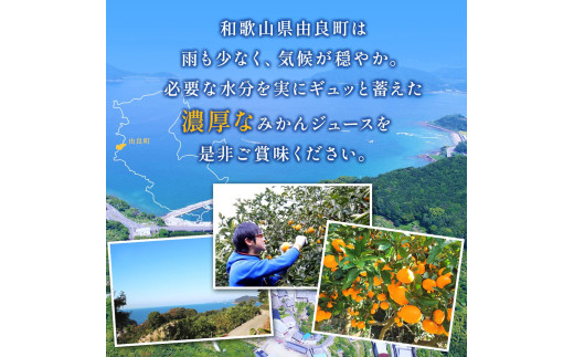 無添加 ストレート果汁！ みかんジュース 1L×3本【fmlb020A】