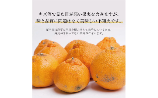 äžç¥ç« å®¶åºçš 10kg+250gïŒçã¿è£ååïŒ/ ã¿ãã èš³ãã ããã¬ã å
ã»ã³ãµãŒ éžå¥ ãã³ãã³ ææ© æ©æ åæå±± çã 24000å / â»2027幎2æäžæ¬ïœ4æäžæ¬ããã«é 次çºéäºå® â»åæµ·éã»æ²çžã»é¢å³¶ãžã®é
éäžå¯ ãikd010-c-10Cã