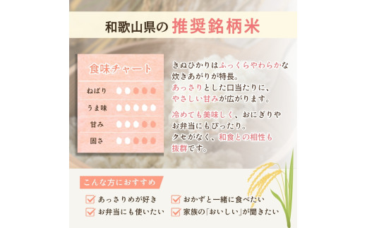 和歌山県産 キヌヒカリ 5kg（2025年産） / お米 きぬひかり 白米 由良町 令和7年 人気 おすすめ ※2025年9月中旬より順次発送予定【sml400-kinu-5D】