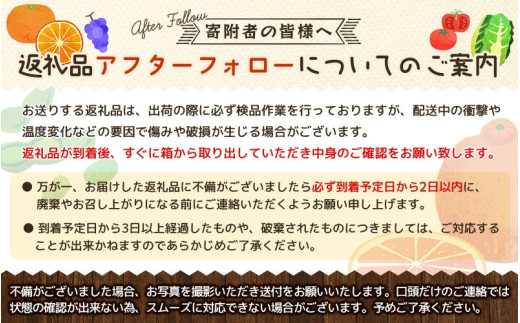 家庭用 はるみ みかん 10kg / くだもの 甘い 柑橘 果物 和歌山 ※2027年2月上旬～2月中旬頃に順次発送 【nktn013-c-10】