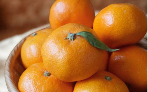 ＼訳あり／ 温州みかん 10kg / みかん ミカン 和歌山県 柑橘 早生 甘い 蜜柑 フルーツ 果物 くだもの 食品  産地直送 由良町 ご家庭用 温州 訳ありみかん ※2026年11月中旬～1月上旬頃に順次発送予定【myvi004-c-10】