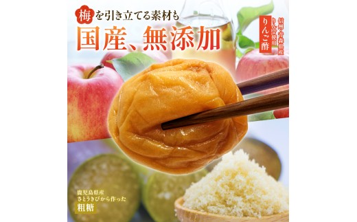 紀州南高梅 無添加  訳あり 減塩 つぶれ梅 1kg（500×2） 塩分3％  / 紀州南高梅 ワケあり つぶれ つぶれ梅 梅干し うめぼし 南高梅 はちみつ梅 はちみつ漬け 減塩 塩分控えめ 小分け 家庭用 ご家庭用 普段使い おにぎり お弁当 和歌山県 紀州 【baiko005】