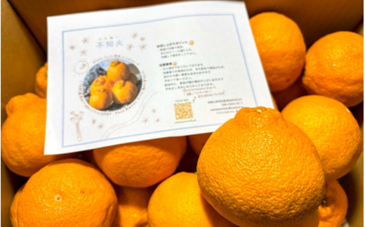 〔和歌山県産／ご家庭用〕（5kg）完熟不知火!甘酸っぱい味わいと芳醇な風味がたまらない高級柑橘! | フルーツ 果物 不知火 ※2027年2月下旬頃～3月下旬頃に順次発送予定【uttn010-c-5】