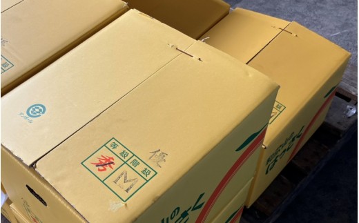 和歌山県産 はっさく 10kg  サイズおまかせ / 八朔 ハッサク 柑橘 果物 和歌山 ※2027年2月中旬～3月中旬に順次発送予定 ※北海道・沖縄・離島配送不可 【eiw021-r-10】