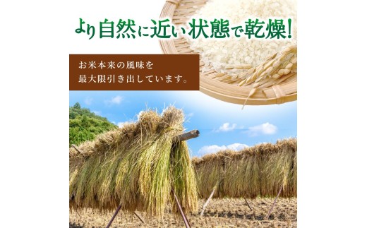 【7日以内発送】令和7年度産 にじのきらめき 5kg ※お届け日指定不可※ / 白米 お米 由良町 精米 和歌山 2025年度 ごはん ご飯 米 こめ【jahd400-niji-5】