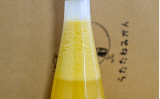 《リモンチェッロ》綺麗な湧水で育てた完熟レモンでつくりました！ / お酒 レモンチェロ カクテル  【uttn703-sake-500】