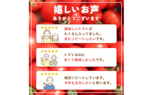 【先行予約】 和歌山県由良町産 ゆらミニトマト 2kg×1箱※2025年10月中旬頃から順次発送予定(お届け日指定不可) / トマト ハウス栽培 とまと 野菜 産地直送 新鮮 由良町 和歌山【ktym011】
