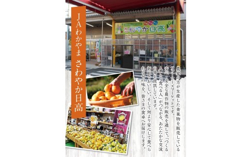 ゆら早生みかん10kg ※2026年10月上旬頃～10月下旬頃に順次発送予定(お届け日指定不可) /  極早生 早生 由良町 和歌山県 柑橘 密柑 完熟 甘い ミカン 光センサー 柑橘 果実 くだもの フルーツ ブ   先行予約【jahd003-r-10】