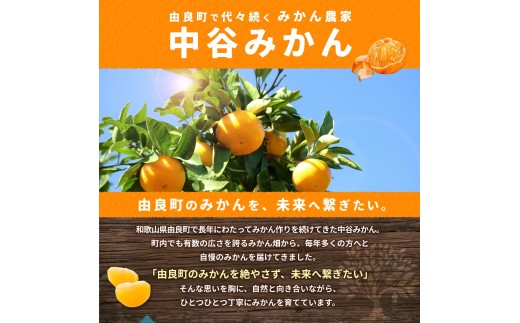 æž©å·ã¿ãã 2kg 2Sïœ2Lãµã€ãºæ··å 11æçºé / æž©å· ãã«ã³ 蟲家çŽéãå®ç 坿 ãã ãã® æå® ææ© æç© ãã«ãŒã åæå±±ç ç±è¯çº äººæ° ãããã ç£å°çŽé â»2026幎11æäžæ¬é ïœ11æäžæ¬é ã«é 次çºéäºå®ãnktn004-r-2-novã