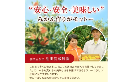 鹿蔵 プレミアム 有田 みかん 2.5kg+250g（傷み補償分）(完熟) / 温州みかん 有田みかん 光センサー 選別 甘い 和歌山 柑橘 ※2026年10月上旬～11月中旬頃に順次発送予定 ※北海道・沖縄・離島への配送不可 【ikd004-prem-2d5A】