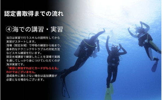 ≪2日でダイバーライセンス取得≫PADIオープンウォーターダイバー取得 （土日コース） / ダイビング 資格 ダイバー スキューバダイビング Cカード チケット マリンスポーツ 海 レジャー アウトドア 和歌山県 由良町【scbs003】