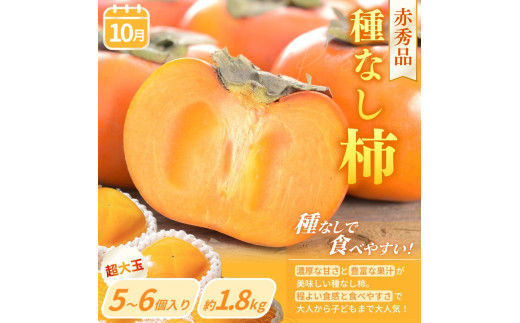 【定期便4回】旬の フルーツ定期便 / はれひめ みかん いちご まりひめ 桃 秀品 柿 種無し フルーツ 定期便 ふるーつ定期便 フルーツ 詰め合わせ 果物定期便 春フルーツ 夏フルーツ 秋フルーツ 冬フルーツ 産地直送 ※離島への配送不可【kgr530-4】