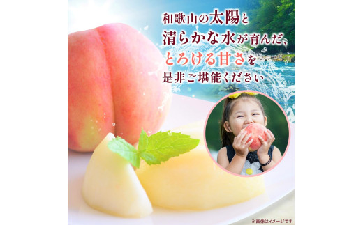【先行予約】和歌山県産の 桃 6～8個(2kg) / もも モモ 甘い フルーツ 果物 くだもの 厳選 ※2026年7月上旬～8月上旬発送 ※北海道・沖縄・離島配送不可 【eiw501-momo-2】