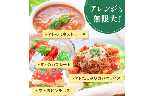 【先行予約】 和歌山県由良町産 ゆらミニトマト 2kg×1箱※2025年10月中旬頃から順次発送予定(お届け日指定不可) / トマト ハウス栽培 とまと 野菜 産地直送 新鮮 由良町 和歌山【ktym011】