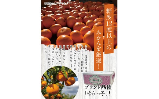 【糖度12度以上！】温州みかん「ゆらっ子」5kg ※2026年12月上旬～12月下旬頃に順次発送予定(お届け日指定不可) / 温州 密柑 JA 糖度 甘い 光センサー ゆらみかん 由良町 ミカン ブランド認定 柑橘 期間限定 和歌山県産【jahd004-r-5】