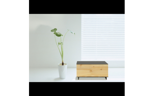 タツクラフト ひのき張り マスク収納ボックス 1段 【Tk271】【ttcf083】