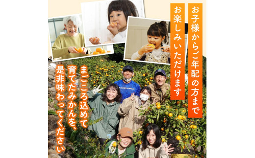 セミノール 10kg /  みかん 晩柑 柑橘 果物 送料無料 産地直送 和歌山県 由良町 ※3月下旬～4月下旬頃に順次発送予定【kzmn016-r-10】