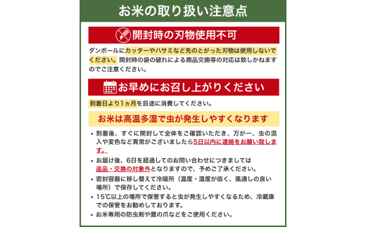 【7日以内発送】令和7年度産 にじのきらめき 5kg ※お届け日指定不可※ / 白米 お米 由良町 精米 和歌山 2025年度 ごはん ご飯 米 こめ【jahd400-niji-5】