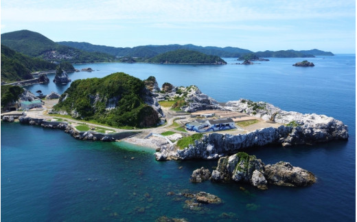 【2026年6月～10月】ボートシュノーケリングをプチクルーズ感覚で体験！ / スノーケリング 海 船 マリンスポーツ 体験 観光 レジャー アウトドア 和歌山県 由良町【scbs001】