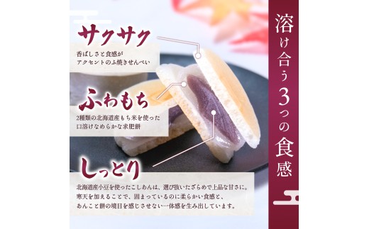老舗の味 天狗力餅30個入　和菓子　力もち　こし餡　職人の手作り / 銘菓 和菓子 こしあん 由良町 お取り寄せ お土産 ギフト 和歌山県【knkd003】