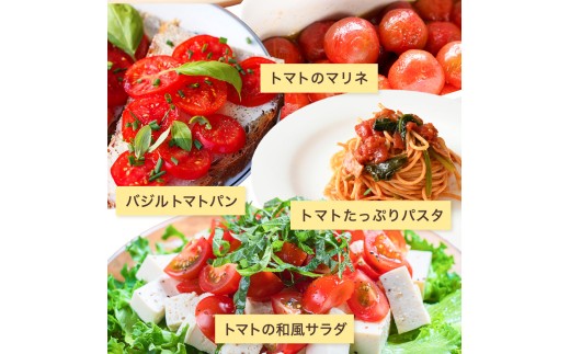 【先行予約】 和歌山県由良町産 ゆらミニトマト 2kg×1箱※2025年10月中旬頃から順次発送予定(お届け日指定不可) / トマト ハウス栽培 とまと 野菜 産地直送 新鮮 由良町 和歌山【ktym011】