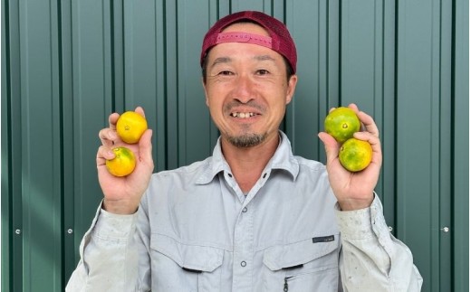 ＼訳あり／ ゆら早生みかん 5kg / みかん ミカン 和歌山県 柑橘 早生 甘い 蜜柑 フルーツ 果物 くだもの 食品  産地直送 由良町 ご家庭用 ゆら早生 早生みかん ※2026年10月上旬～10月下旬頃に順次発送予定【kwgc003-c-5】