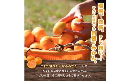 æž©å·ã¿ãã 2kg 2Sïœ2Lãµã€ãºæ··å 11æçºé / æž©å· ãã«ã³ 蟲家çŽéãå®ç 坿 ãã ãã® æå® ææ© æç© ãã«ãŒã åæå±±ç ç±è¯çº äººæ° ãããã ç£å°çŽé â»2026幎11æäžæ¬é ïœ11æäžæ¬é ã«é 次çºéäºå®ãnktn004-r-2-novã