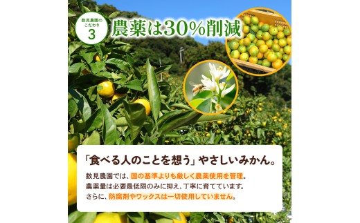 ゆら早生 みかん 3kg / 和歌山県 柑橘 みかん 甘い 蜜柑 フルーツ 果物 くだもの 食品 人気  晩柑 おすすめ 送料無料 産地直送 由良町  ※2026年10月上旬頃～10月下旬頃に順次発送予定【kzmn003-r-3】