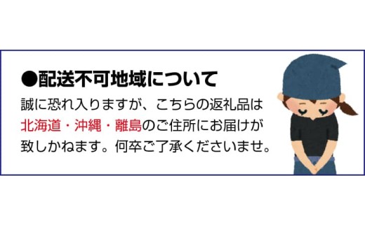 鹿蔵 プレミアム 有田 みかん 2.5kg+250g（傷み補償分）(完熟) / 温州みかん 有田みかん 光センサー 選別 甘い 和歌山 柑橘 ※2026年10月上旬～11月中旬頃に順次発送予定 ※北海道・沖縄・離島への配送不可 【ikd004-prem-2d5A】