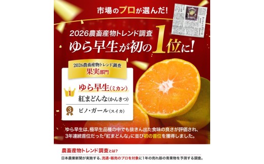 ゆら早生 みかん 3kg / 和歌山県 柑橘 みかん 甘い 蜜柑 フルーツ 果物 くだもの 食品 人気  晩柑 おすすめ 送料無料 産地直送 由良町  ※2026年10月上旬頃～10月下旬頃に順次発送予定【kzmn003-r-3】