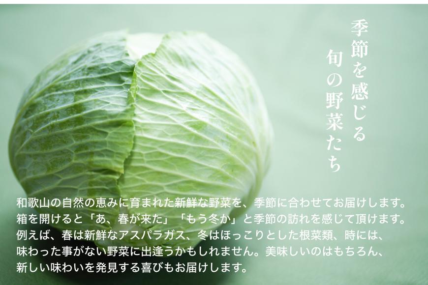 旬の新鮮野菜詰め合わせ 8種以上【野菜セット】