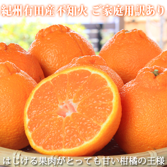 ［ご家庭用訳有り］紀州有田産不知火(しらぬひ) 約8.5kg［2026年2月中旬以降発送］［先行予約］［UT41］
