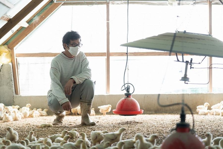 邏縺ョ蝗ス縺ソ縺九s縺ゥ繧翫げ繝ェ繝ォ繝√く繝ウ30譛ャ