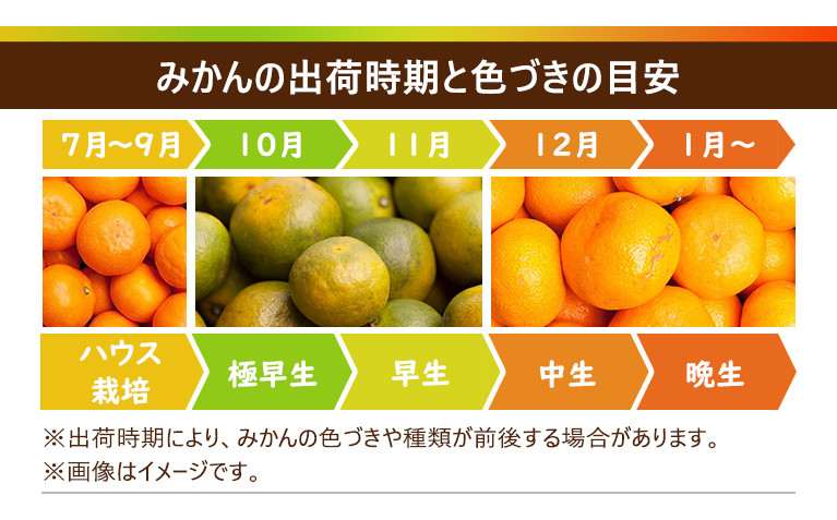 シサ蜈郁。御コ育エシス螳カ蠎ュ逕ィ 蟆上&縺ェ譛臥伐縺ソ縺九s5kg+250gシ亥す縺ソ陬懷─蛻シ会シサ2026蟷エ10譛亥晄流縺九i2027蟷エ1譛域忰譌・鬆鬆谺。逋コ騾∽コ亥ョ夲シスシサIKE245シス