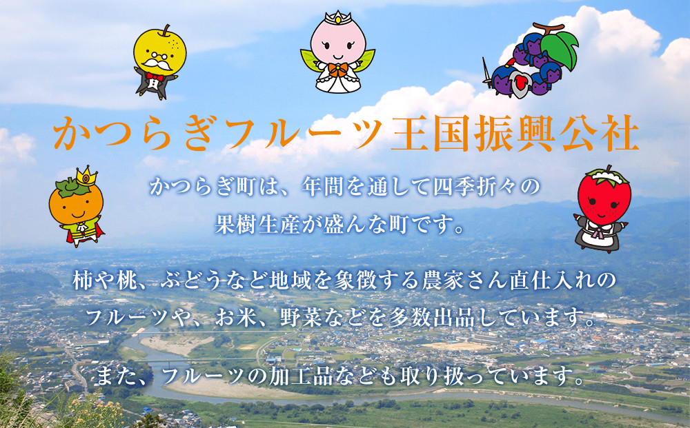 ［2026年発送分・先行予約］農家さん直送 低農薬玉ねぎ Sサイズ 10kg程度［4月中旬〜7月中旬頃発送予定］［KF18］