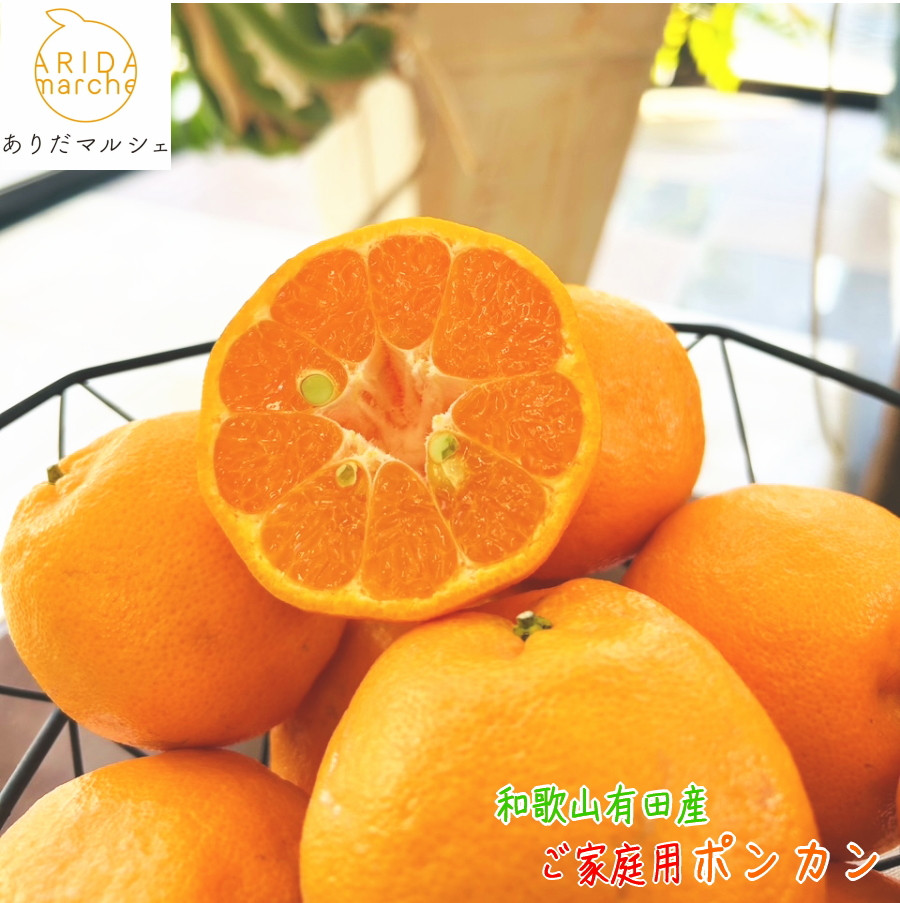 有田育ちの 完熟 ポンカン（ご家庭用）約7.5kg［先行予約］［MS46］