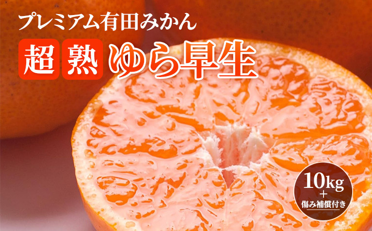 ［先行予約］プレミアム 有田みかん10kg+250g（傷み補償分）［2026年10月初旬から2027年1月末日頃順次発送予定］［IKE249］