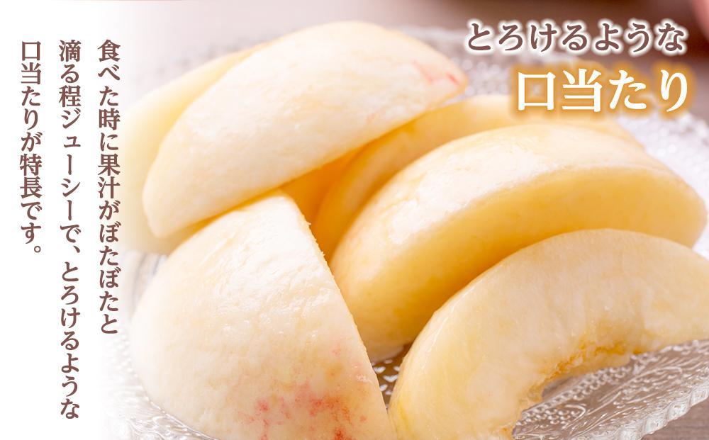 åæå±±çç£ çœé³³ æ¡ 5ã8çå
¥ã ç§å å
è¡äºçŽïŒ»2026幎6æäžæ¬ä»¥éçºéMG6