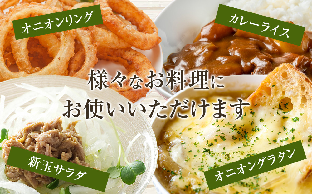 ［2026年発送分・先行予約］農家さん直送 低農薬玉ねぎ Lサイズ 10kg程度［4月中旬〜7月中旬頃発送予定］［KF16］