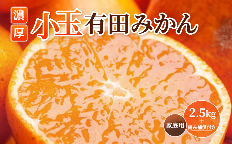 ［先行予約］家庭用 小さな有田みかん2.5kg+250g（傷み補償分）［2026年10月初旬から2027年1月末日頃順次発送予定］［IKE246］