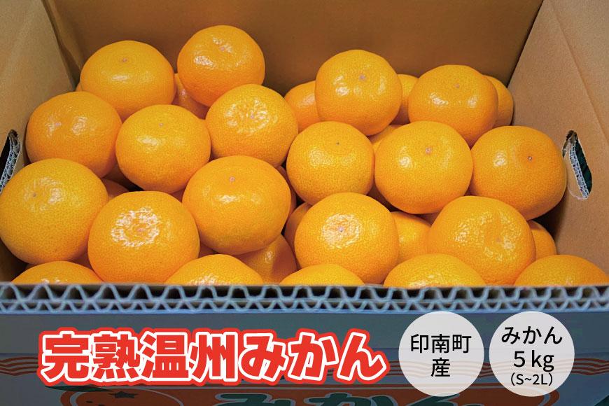 地元印南町産『完熟温州みかん』約5kg（S〜Lサイズ）
