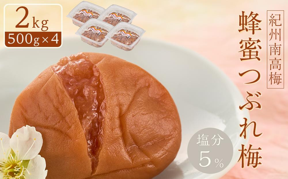 紀州南高梅 蜂蜜つぶれ梅 塩分5％ 2kg (500g×4) ［Kn23］