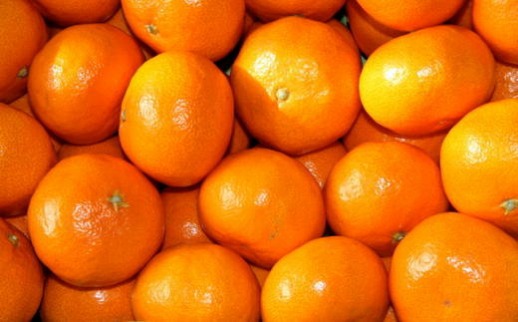 [厳選]和歌山有田みかん約5kg（S～Lサイズおまかせ）★2026年11月中旬頃より順次発送