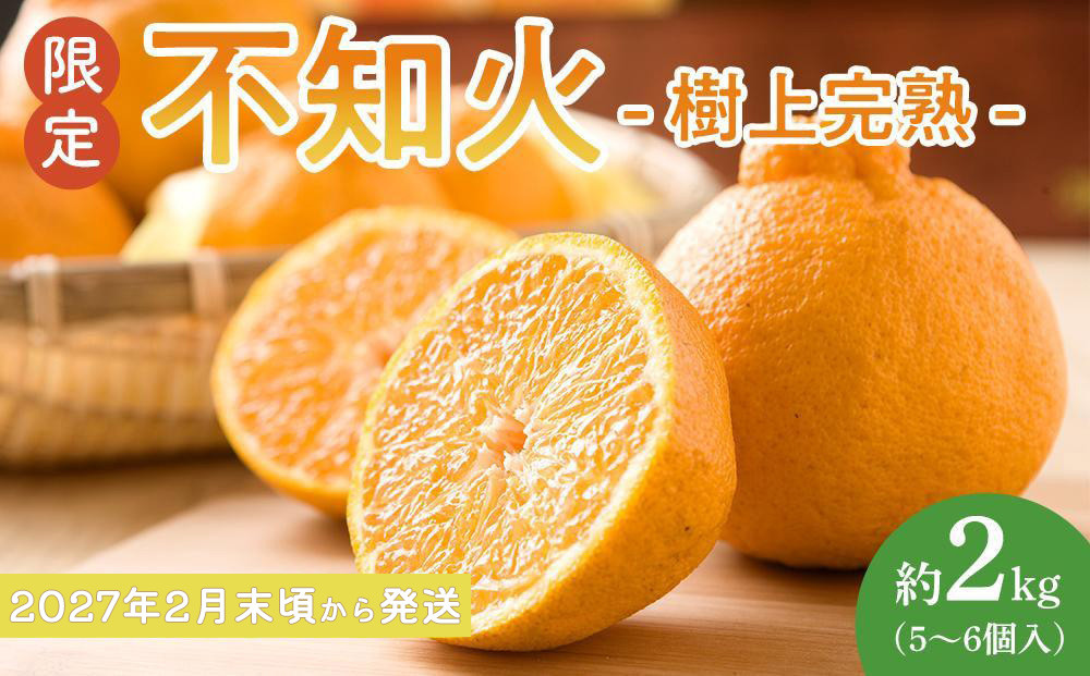 ［限定］不知火 樹上完熟 約2kg （5～6個入）［2027年2月末頃から3月末頃発送］［KG6］
