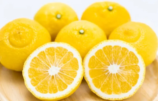 贈答用 森本農園の手選別 はるか 約5kg 和歌山県産 L～2Lサイズ［北海道・沖縄・離島配送不可］［RN154］